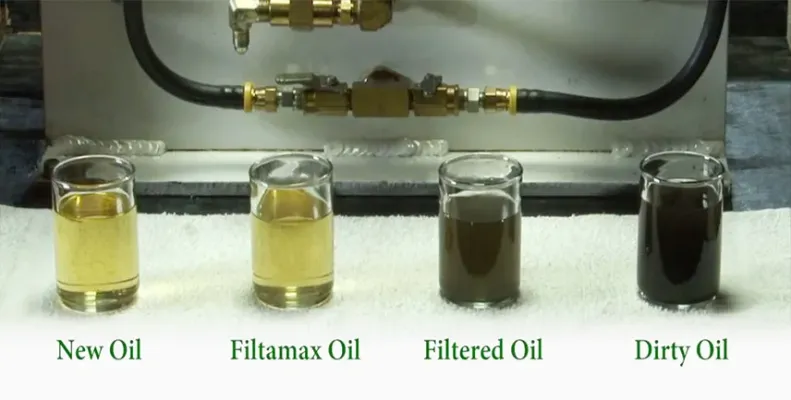 Dau-thuy-luc-bi-nhiem-ban