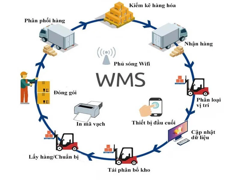 Hệ thống quản lý kho hàng WMS là gì?