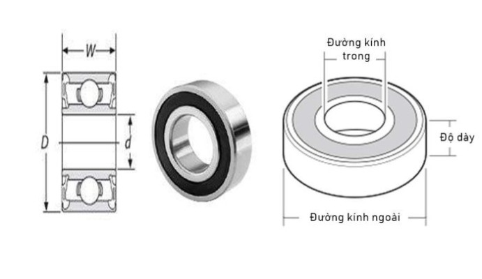vong-bi-bac-dan-kich-thuoc-700x405