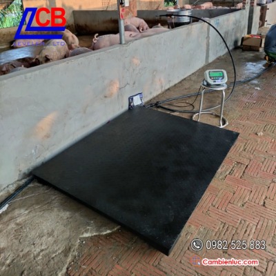 23032219-can-san-dien-tu-leveler-cambienluc